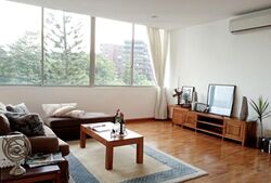 Nassim Regency (D10), Condominium #597111751